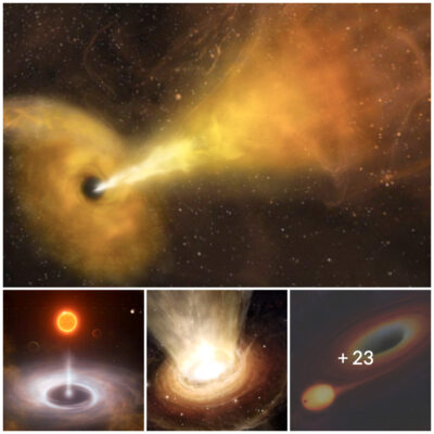 Unexplained occurrence: Black holes spit out stars from their ancient feasts