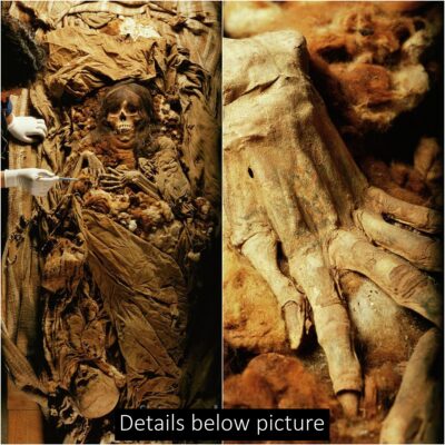 The remarkable finding of an excellently preserved Inca mummy, referred to as ‘La Señorita,’ accompanied by her child