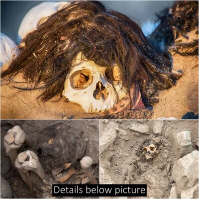 Anсient Mummy wіth Long Hаir Found іn Peru аfter 1,000 Yeаrs