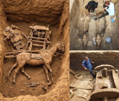 Unearthing Ancient Splendor: Archaeologists Find 2,500-Year-Old Chariot, Complete with Rider and Horses