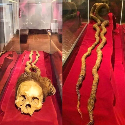 Intact Hair on Skull, 2800 mm in Length, Potentially Linked to a Priestess of 50 Years