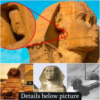 According to historians, there is a possibility that Egypt’s SPHINX conceals a ‘SECRET CITY’ constructed by a forgotten civilization