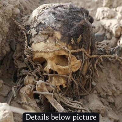 Archaeologists in Peru make a shocking discovery after 1,400 years: Startling pre-Inca mummies emerge from their tombs