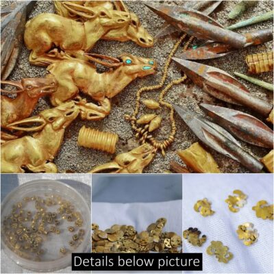 Discovering Ancient Gold in Kazakhstan: Unveiling a 2,800-Year-Old Treasure!