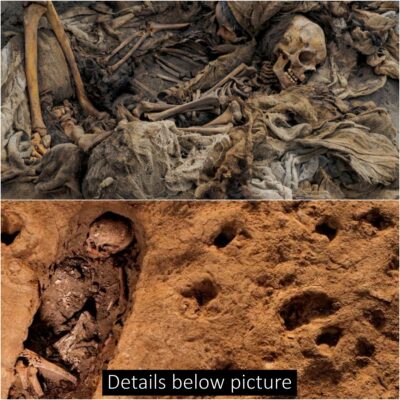 The world’s largest child sacrifice site reveals 269 victims interred alongside baby llamas