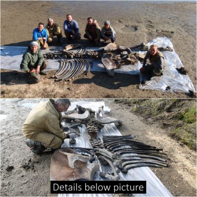 While fishing with her dad, a girl stumbles upon mammoth bones that are 100,000 years old in a Russian river