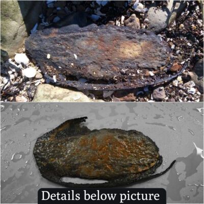 A leather shoe dating back 3,000 years has been unearthed on a beach in Kent, UK