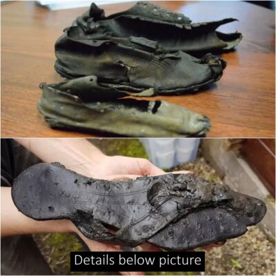 Discovered 421 pairs of Adidas Predator shoes from ancient Rome at Vindolanda Roman