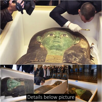 The ancient sarcophagus, looted almost 2,700 years ago, has been brought back to Egypt