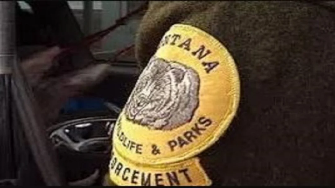 Kalispell Man Found Guilty Of Poaching Crimes: A Significant Win For Wildlife Protection