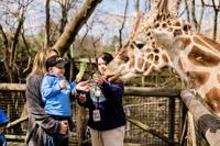 Memphis Zoo Unveils Newly Renovated Veterinary Hospital