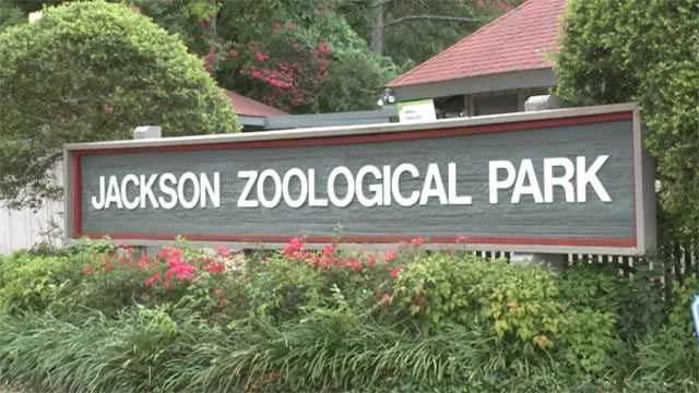 Weather Concerns Delay Sustainable Safari Event at Jackson Zoo