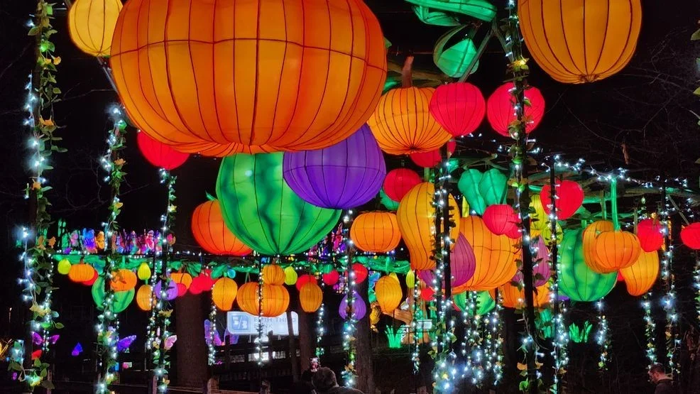Illuminating Nature: Grand Rapids Lantern Festival Shines at John Ball Zoo