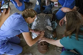 Emergency Training at the Little Rock Zoo: A Unique Approach to Field Medicine