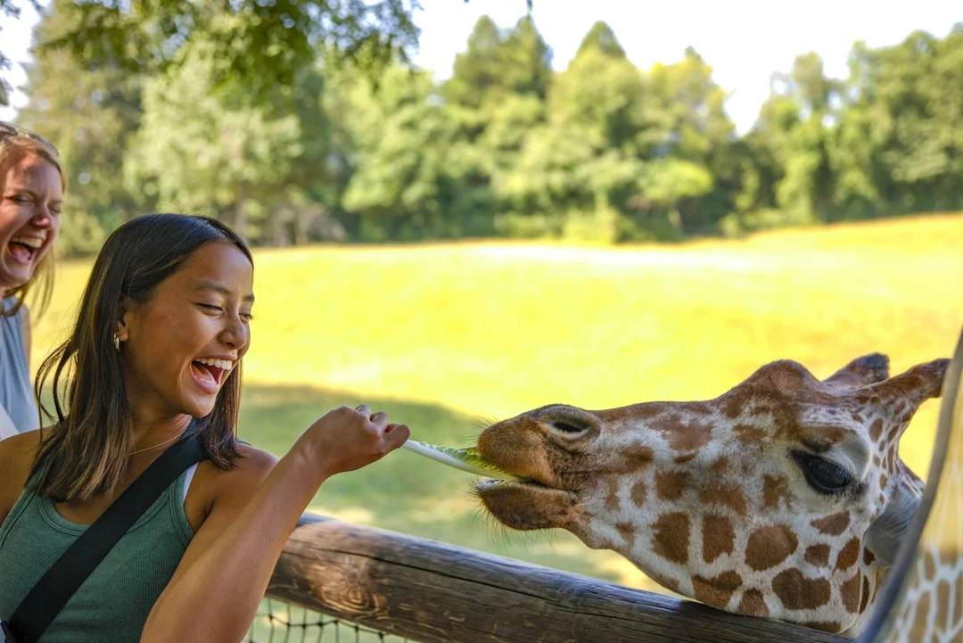 Binder Park Zoo Celebrates 50 Years of Connection with Nature