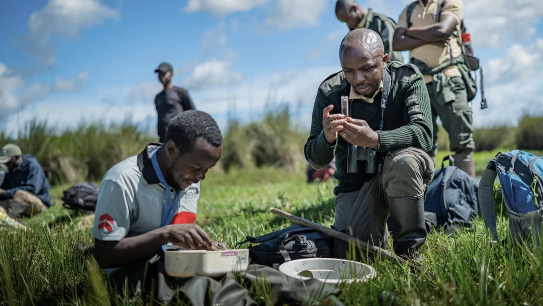 Olivier Nsengimana’s Inspiring Efforts To Save The Gray Crowned Crane In East Africa