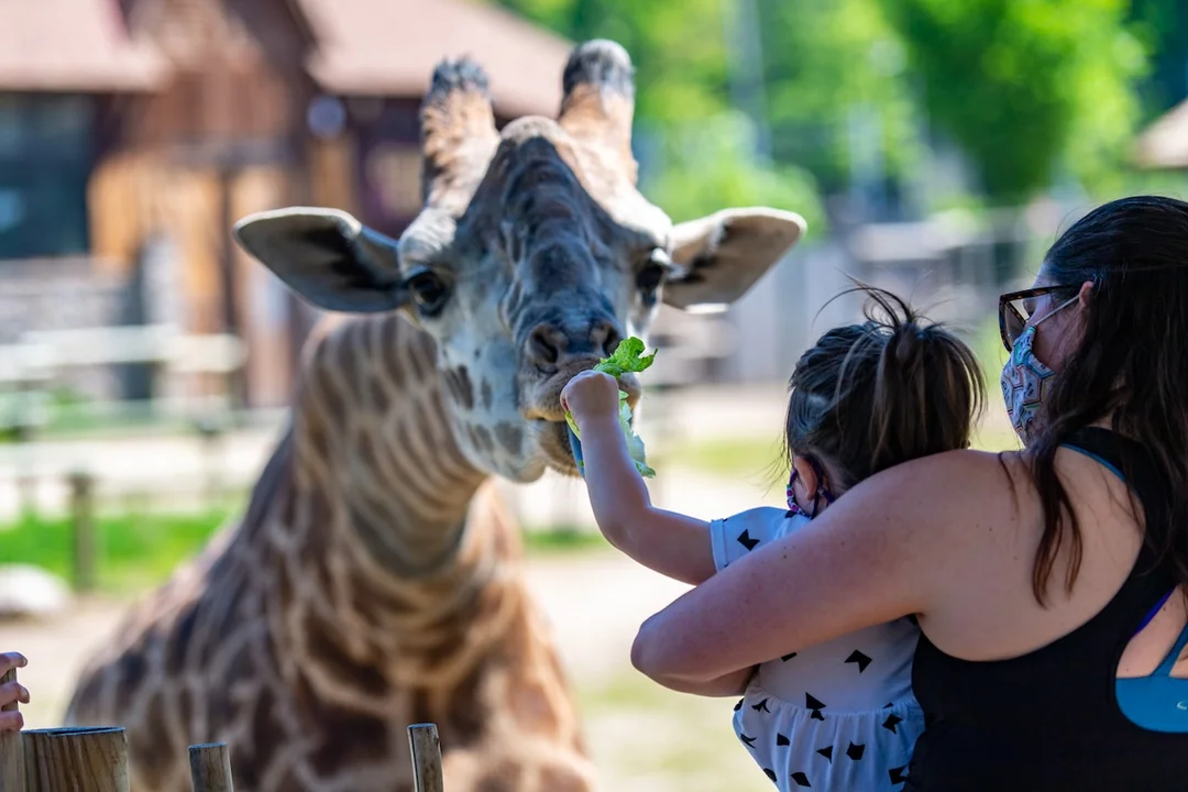 Modified Visiting Hours at Turtleback Zoo: What You Need to Know