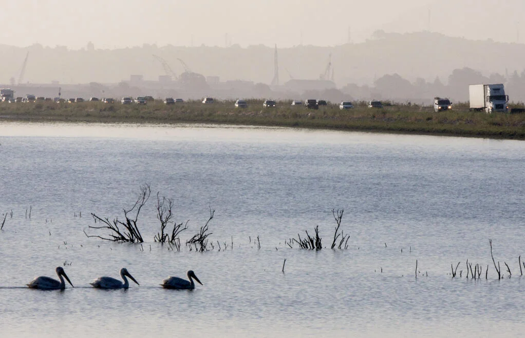 California’s Highway 37 Widening: A Tense Battle Between Wildlife and Commuters