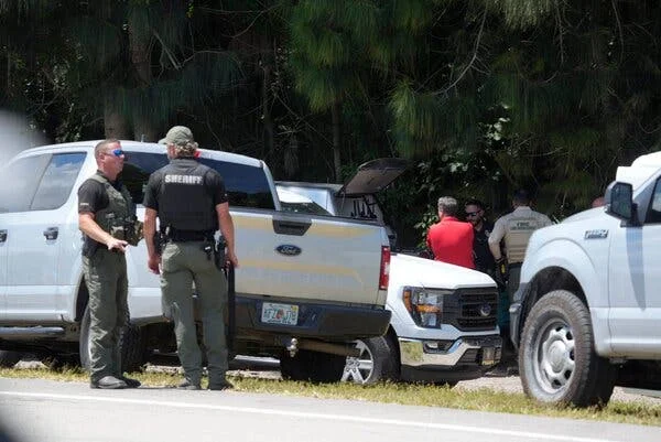 Florida’s Deadly Encounters: A Week of Bear and Alligator Attacks
