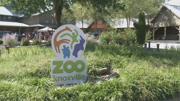 Pride Night at Zoo Knoxville: A Celebration of Community and Identity