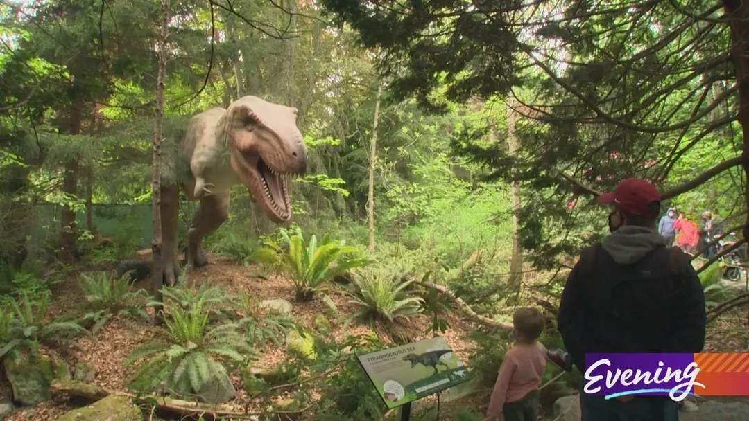 Dinosaurs Come To Life At Woodland Park Zoo: A Jurassic Adventure Awaits