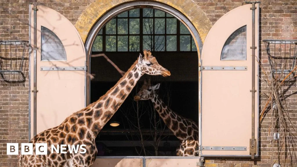 Exploring London’s Past: A Digital Recreation of London Zoo in 1904