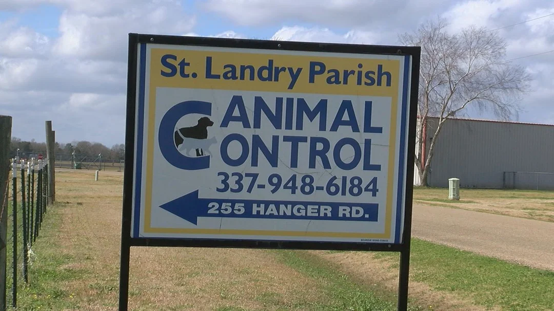 Cruelty Exposed: A Look at the Disturbing Case of a Petting Zoo Owner