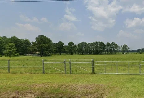 Tragic Encounter: Man Dies While Playing Rough with Kangaroo at South Carolina Zoo