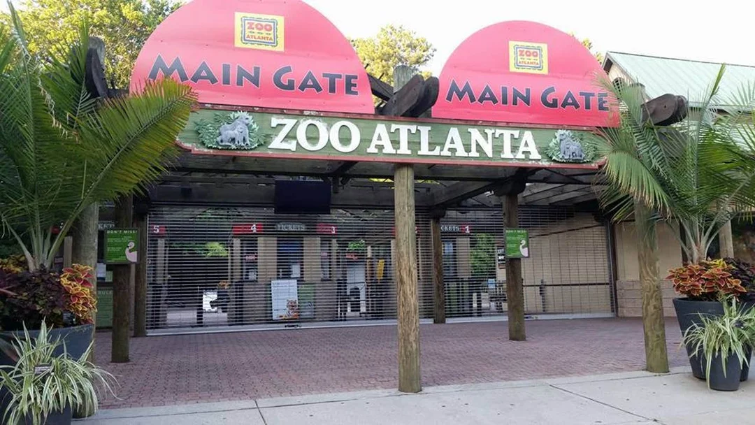 Zoo Atlanta’s New $6 Admission Initiative: A Step Towards Inclusivity
