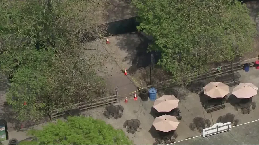 Injuries Reported After Falling Tree Branch at Franklin Park Zoo