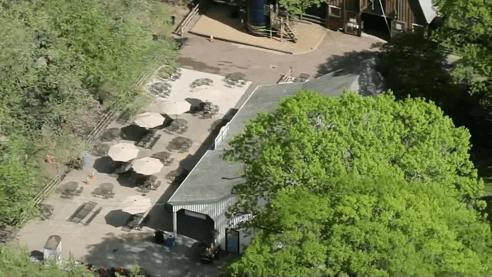 A Fallen Tree Branch Injures Visitors at Boston’s Franklin Park Zoo