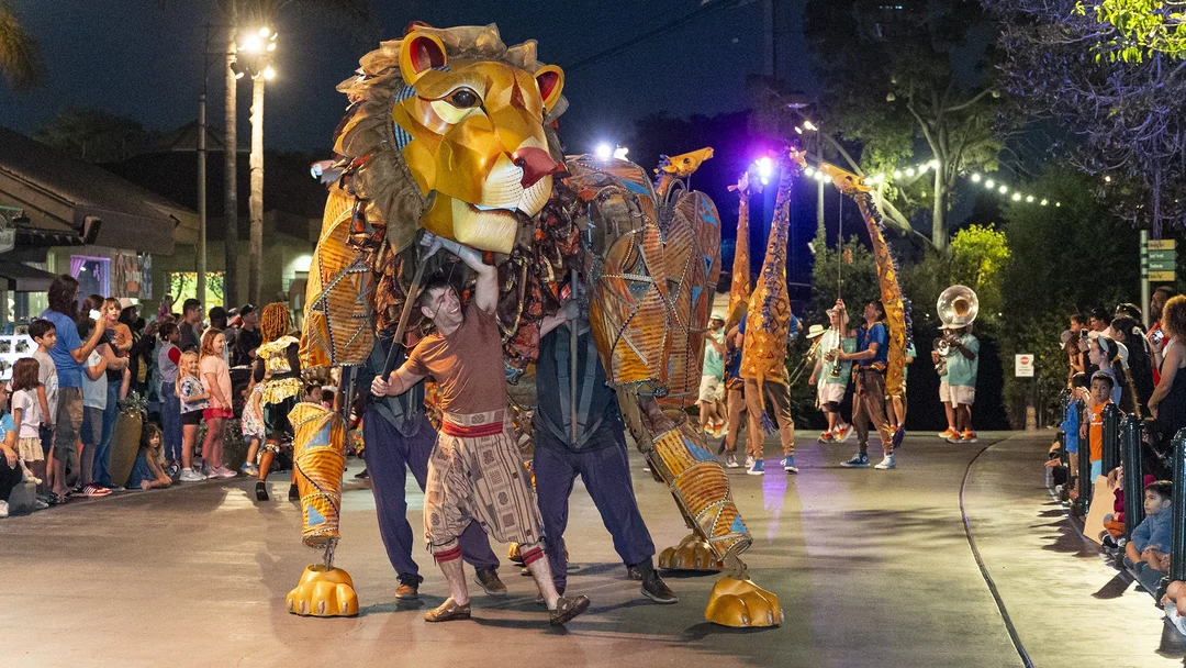 Experience The Magic Of Nighttime At San Diego Zoo