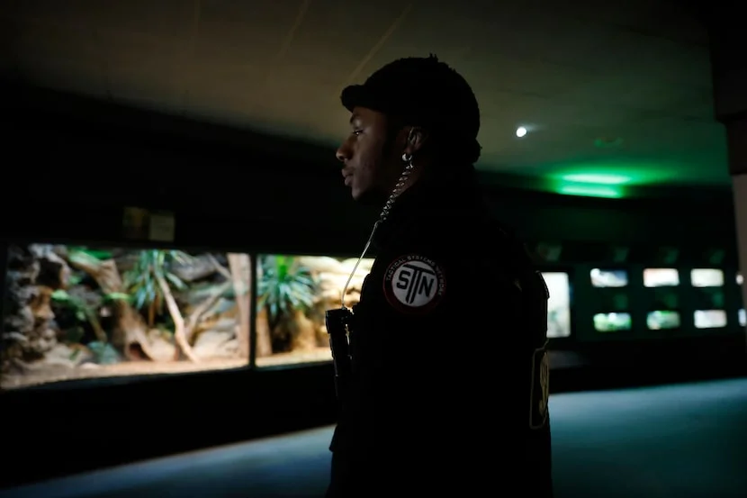 Dallas Zoo Confronts Trespassing Threats With New Legislative Action