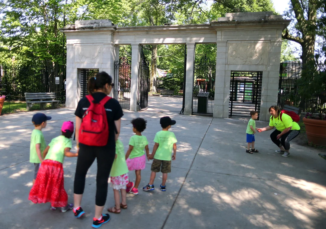 Falling Trees: A Scary Incident at Franklin Park Zoo