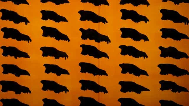 The Deceptive Allure of De-Extinction: Colossal Biosciences and the Dire Wolf