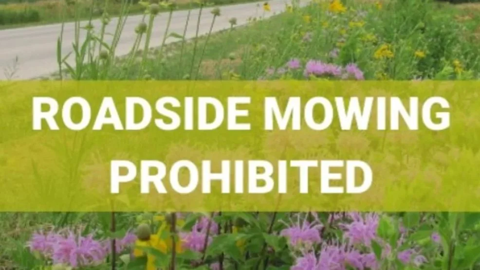 Protecting Wildlife: The Importance of Mowing Restrictions in Linn County