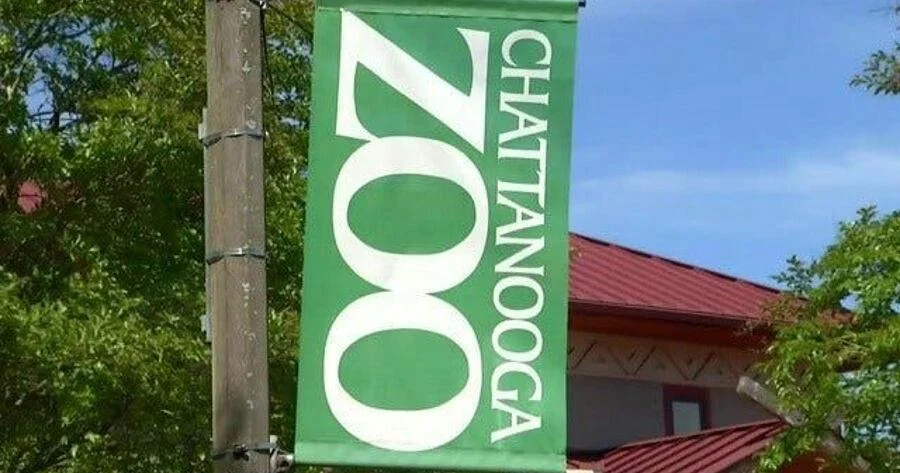 Springtime Celebrations Bring New Life to Chattanooga Zoo