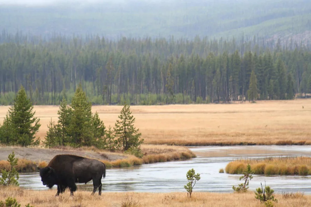 The Impact of Federal Budget Cuts on Tribal Wildlife Management and Education