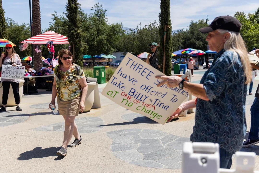 The Ongoing Battle for Billy and Tina: Los Angeles Zoo Elephants Face Controversial Transfer