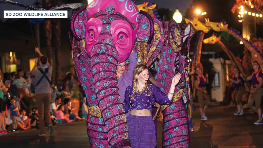 The Exciting Return of Nighttime Zoo at San Diego Zoo