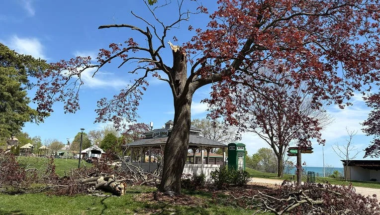 Storm Devastation: Racine Zoo Shuts Down To Ensure Animal Safety