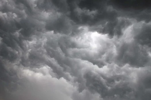 Severe Weather Causes Tree Branch To Fall At Elmwood Park Zoo Injuring Two Children