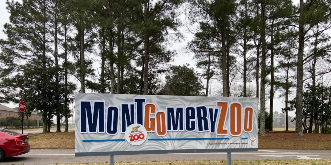 Montgomery Zoo Set to Undergo Exciting Multimillion-Dollar Renovation