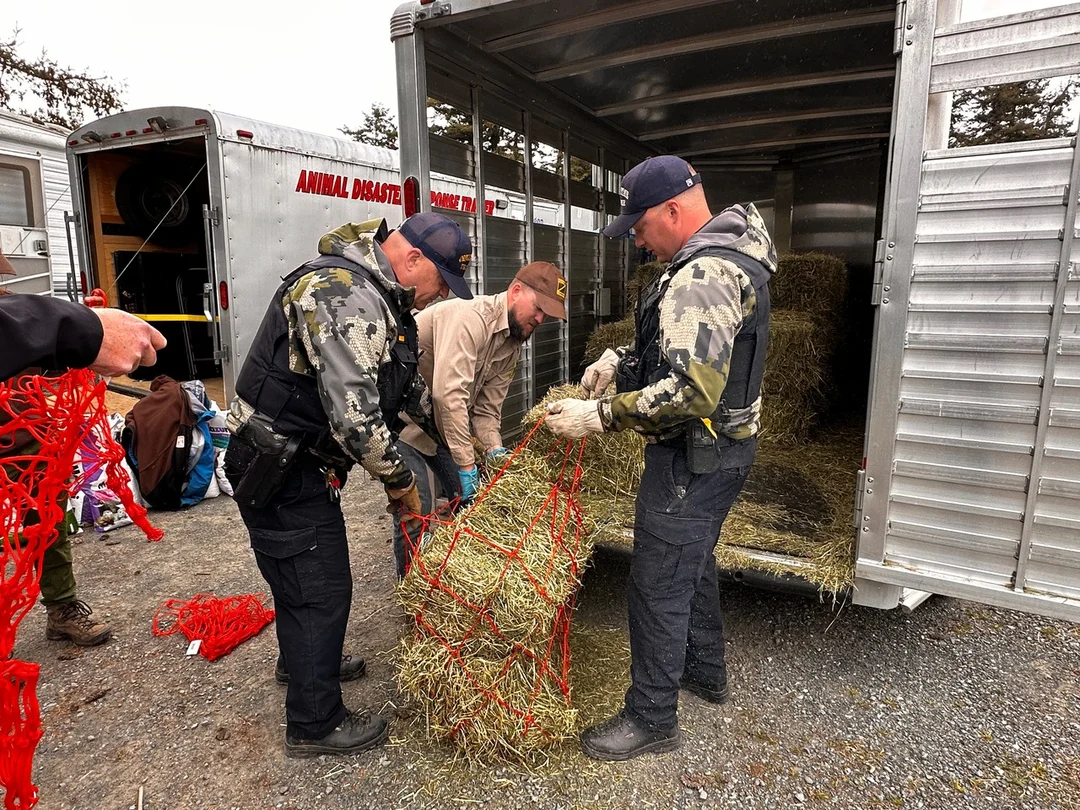 Animals Seized in Oregon Raid Find New Foundations, But Tragedy Strikes