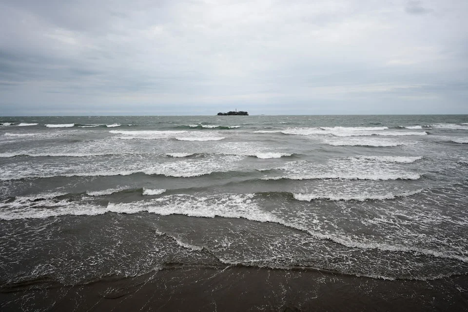 Rice’s Whale Faces New Threats From Oil And Gas Activities In The Gulf Of Mexico