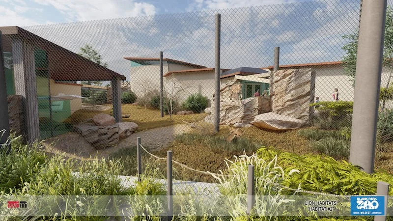 Des Moines Zoo Breaks Ground On New Lion Exhibit To Aid Conservation Efforts