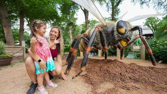 A Big Buzz Is Coming To The San Antonio Zoo