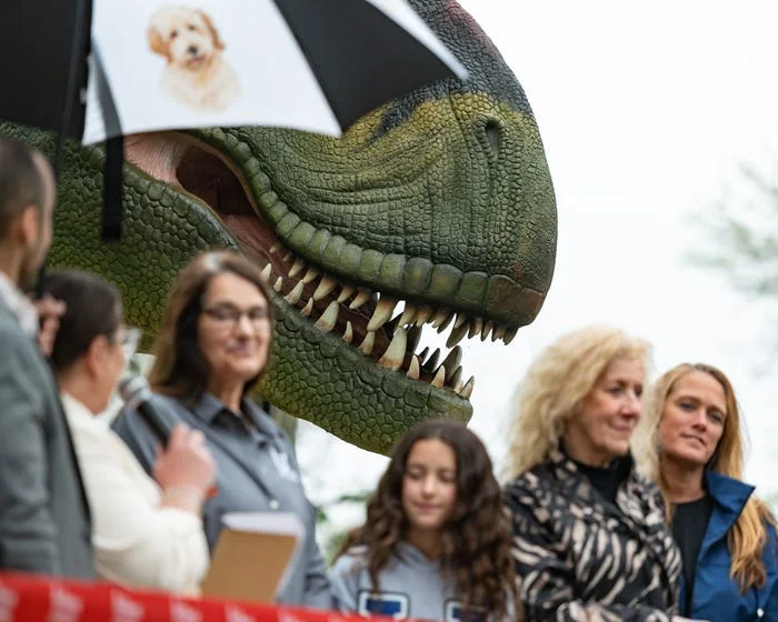 Dino Discovery Exhibit Opens at Utica Zoo: A Prehistoric Adventure Awaits