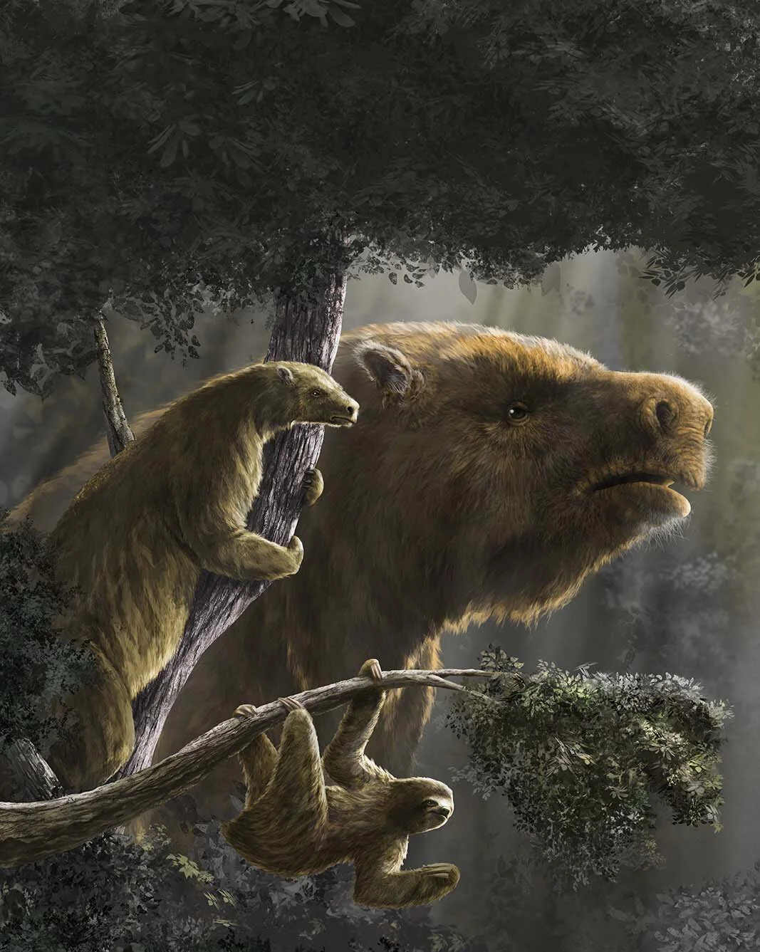 The Rise and Fall of Giant Ground Sloths: Unraveling Their Size Mystery